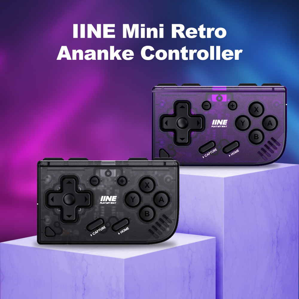 وحدة تحكم IINE المحمولة الصغير - مراجعة Retro Gaming Accessories وسعره